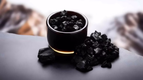 Shilajit (Salajeet) - Image 2