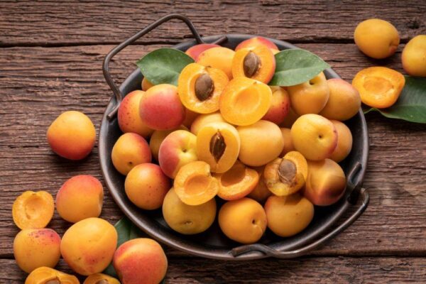 Apricots (Khobani) - Image 5