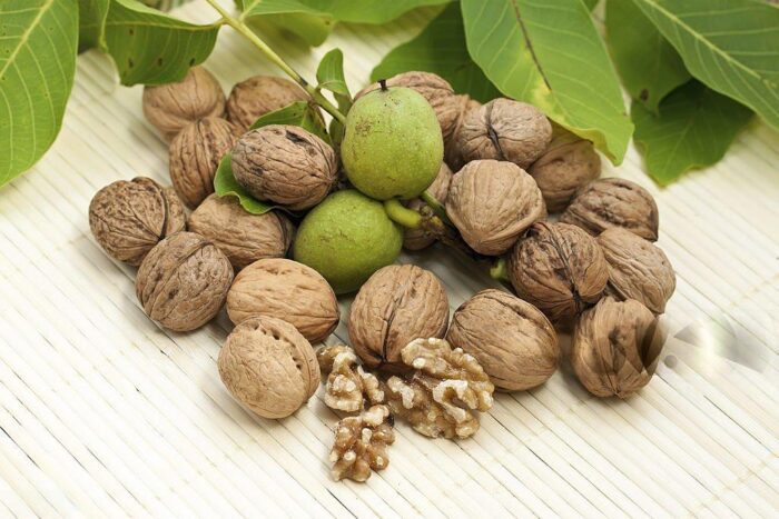 Walnuts (Akhrot) - Image 3