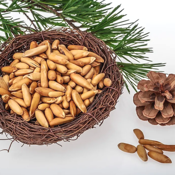 Pine Nuts (Chalgoza) - Image 3