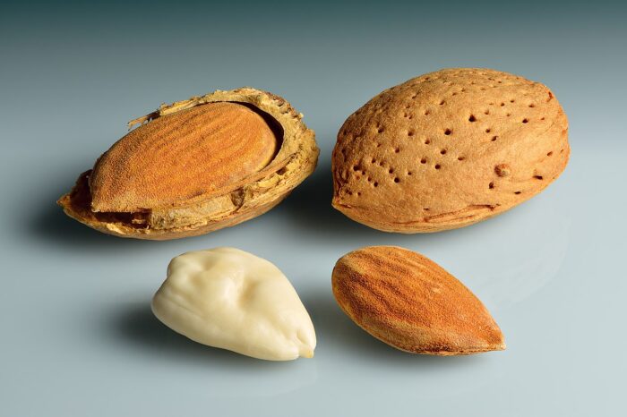 Almond (Badam) - Image 2